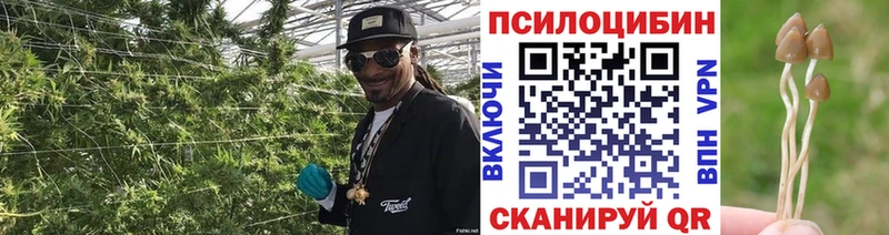 сколько стоит  Петров Вал  гидра ONION  Галлюциногенные грибы ЛСД 